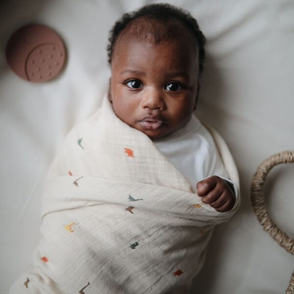 Mushie Baby Swaddle 120*120cm - Dino