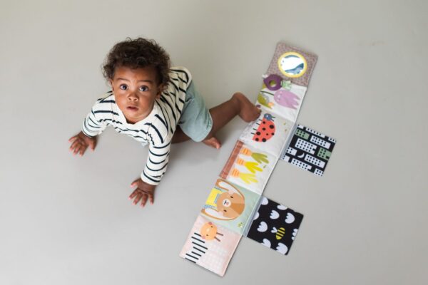 Taf Toys - Urban Garden Pram Book