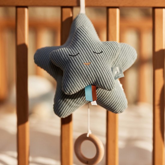 Jollein - Muziekhanger Star Sea Green