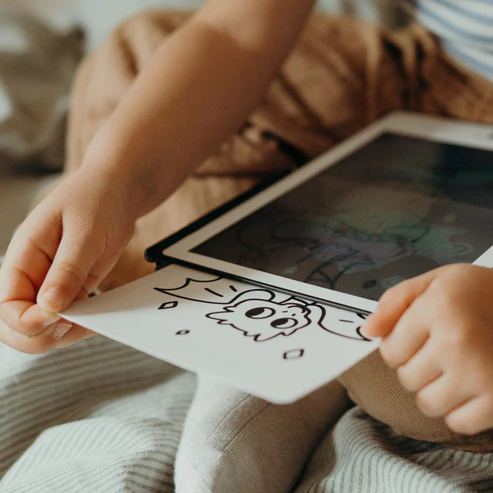 Kidywolf-Refill Extra kaarten met het thema “Once upon a time and Animals”