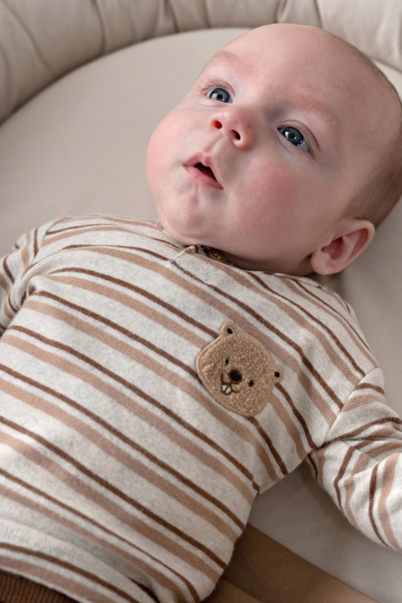 Feetje - Longsleeve Rib met Streep - Tiny Timber Tales Grijs Melange