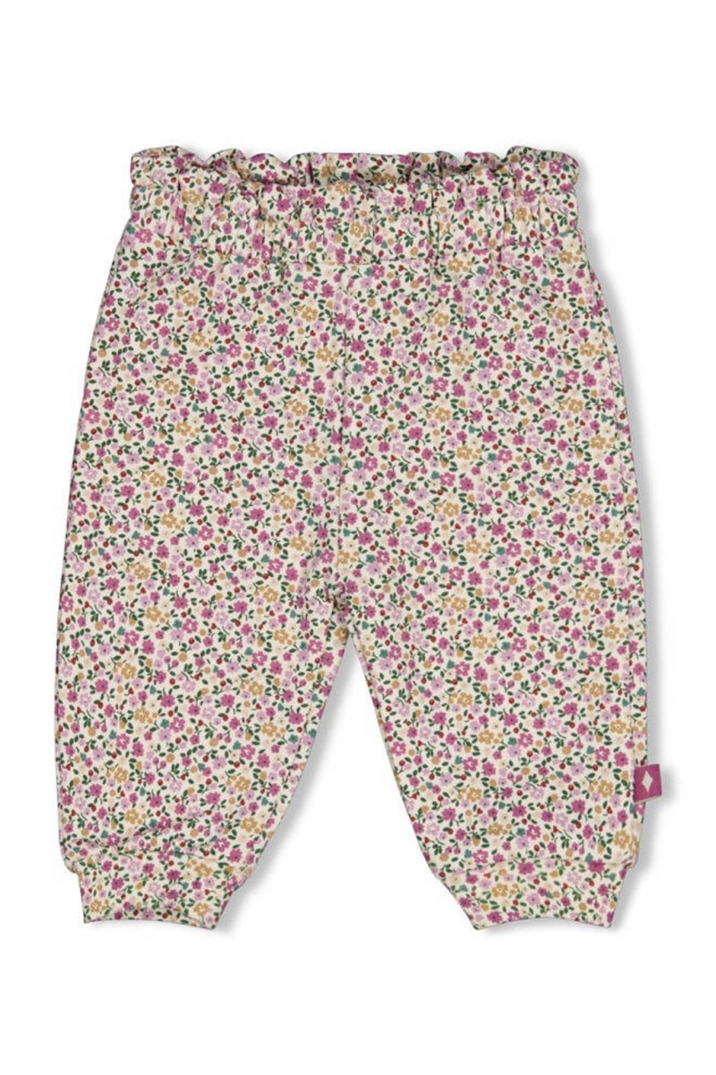 Feetje - Broek Afternoon Tea groen/roze